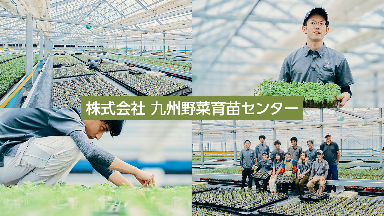 最先端の育苗ハウスにおける接木苗の大規模生産農場 株式会社 九州野菜育苗センター